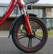 Электровелосипед Green Giant U18 Eco 600W Black - грузовой усиленный багажник красный  UqGR45 фото 6
