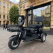 Електровелосипед EVOBIKE Luna TRIO 1200W 60V Чорний &ndash; Триколісний електротранспорт для міста та дачі Luna1 фото 1