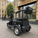 Електровелосипед EVOBIKE Luna TRIO 1200W 60V Чорний &ndash; Триколісний електротранспорт для міста та дачі Luna1 фото 3