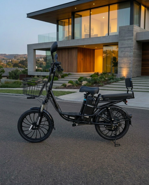 Електровелосипед MINAKO PRO 20" 800W подвійна амортизація  15Ah 48W з розкладним сидінням-багажником  MINAKO20 фото